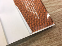 AAA1265 Case Closed Vol.9 Japanese Manga