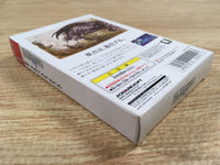 DK7316 Final Fantasy I BOXED Wonder Swan Bandai Japan