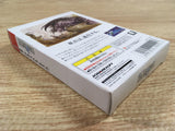 DK7316 Final Fantasy I BOXED Wonder Swan Bandai Japan