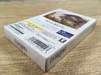 DK7316 Final Fantasy I BOXED Wonder Swan Bandai Japan