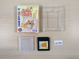 Hamster Paradise BOXED GameBoy Game Boy Japan - UE1897