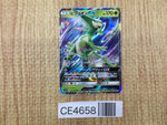 CE4658 Virizion GX RR SM7a 006/060 Pokemon Card TCG Japan