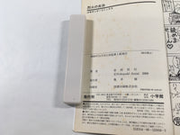 AAA2033 Flame of Recca Vol.26 Japanese Manga