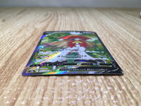CE8658 Hisuian Decidueye V SR s9a 077/067 Pokemon Card TCG Japan