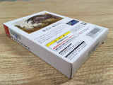 DK7317 Final Fantasy I BOXED Wonder Swan Bandai Japan
