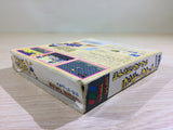 DK6829 Donald Duck no Lucky Dime BOXED Sega Game Gear Japan