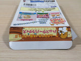 Hamster Paradise BOXED GameBoy Game Boy Japan - UE1897