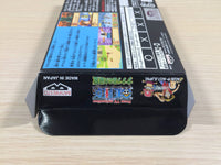 UE4704 One Piece Nanatsujima no Daihihou BOXED GameBoy Advance Japan