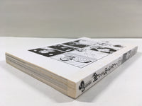AAA1731 The World God Only Knows Vol.13 Japanese Manga