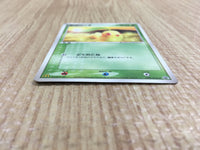 CE4505 Chikorita - PROMO 028/PCG-P Pokemon Card TCG Japan