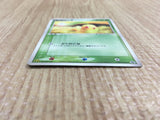 CE4505 Chikorita - PROMO 028/PCG-P Pokemon Card TCG Japan