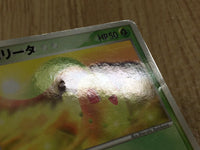 CE4505 Chikorita - PROMO 028/PCG-P Pokemon Card TCG Japan