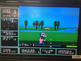 dk5915 Golf U.S. Course Famicom Disk Japan