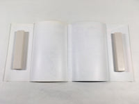AAA2035 Big Waver Vol.2 Japanese Manga