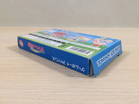 UE4705 Doubutsujima no Chobi Gurumi 2 Tama-chan BOXED GameBoy Advance Japan
