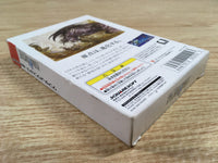 DK7318 Final Fantasy I BOXED Wonder Swan Bandai Japan