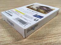 DK7318 Final Fantasy I BOXED Wonder Swan Bandai Japan