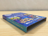 ue7169 The Legend of Zelda The Wind Waker BOXED GameCube Japan