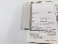 AAA1732 The World God Only Knows Vol.11 Japanese Manga