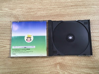 FH9823 Theme Park Sega Saturn Japan