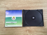 FH9823 Theme Park Sega Saturn Japan