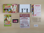 UE4449 Animal Yokochou Doki Doki Kyuushutsu BOXED GameBoy Advance Japan