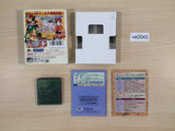 Grandia Parallel Trippers BOXED GameBoy Game Boy Japan - UE2043