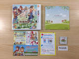 Harvest Moon A New Beginning BOXED Nintendo 3DS Japan - FH3226