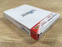 DK7319 Final Fantasy I BOXED Wonder Swan Bandai Japan