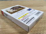 DK7319 Final Fantasy I BOXED Wonder Swan Bandai Japan