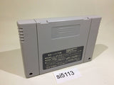 Dai Bakushou Jinsei Gekijou Ooedo Nikki SNES Super Famicom Japan - SI5113