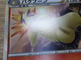 CE2833 Typhlosion PROMO PROMO 003/L-P Pokemon Card TCG Japan