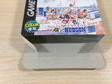 Grandia Parallel Trippers BOXED GameBoy Game Boy Japan - UE2043