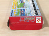 UE1429 Captain Tsubasa Eikou no Kiseki BOXED GameBoy Advance Japan