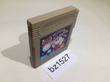 BZ1527 Snow Brothers Snow Bros. Jr. GameBoy Game Boy Japan