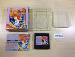 DK6832 Phantasy Star Adventure BOXED Sega Game Gear Japan