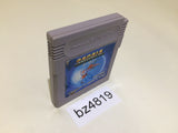 BZ4819 Sagaia GameBoy Game Boy Japan