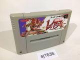 Magic Knight Rayearth Mahou Kishi SNES Super Famicom Japan - SJ1636
