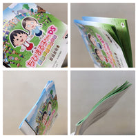 UE8130 Chibi Maruko‑Chan DS: Maru‑chan no Machi BOXED Nintendo DS Japan