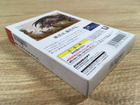 DK7320 Final Fantasy I BOXED Wonder Swan Bandai Japan