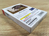 DK7320 Final Fantasy I BOXED Wonder Swan Bandai Japan