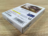DK7320 Final Fantasy I BOXED Wonder Swan Bandai Japan