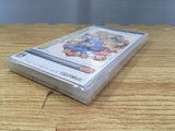 FH8460 Irregular Hunter Rockman Megaman Rockman Rockman