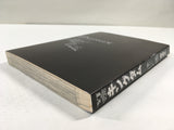 AAA1366 Kingdom Vol.12 Japanese Manga