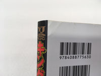 AAA1366 Kingdom Vol.12 Japanese Manga