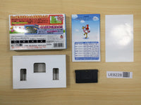 UE8228 Wario Land Advance Mario BOXED GameBoy Advance Japan