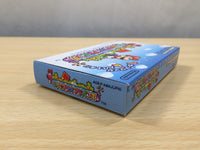 UE8228 Wario Land Advance Mario BOXED GameBoy Advance Japan