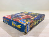 DK6833 Bare Knuckle Ikari no Tekken BOXED Sega Game Gear Japan