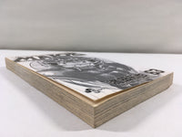 AAA1872 MAJOR Vol.63 Japanese Manga
