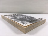 AAA1872 MAJOR Vol.63 Japanese Manga